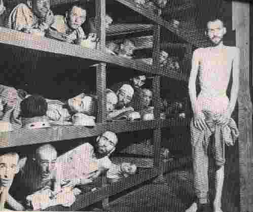 the holocaust heinrich himmler essay the holocaust heinrich himmler essay